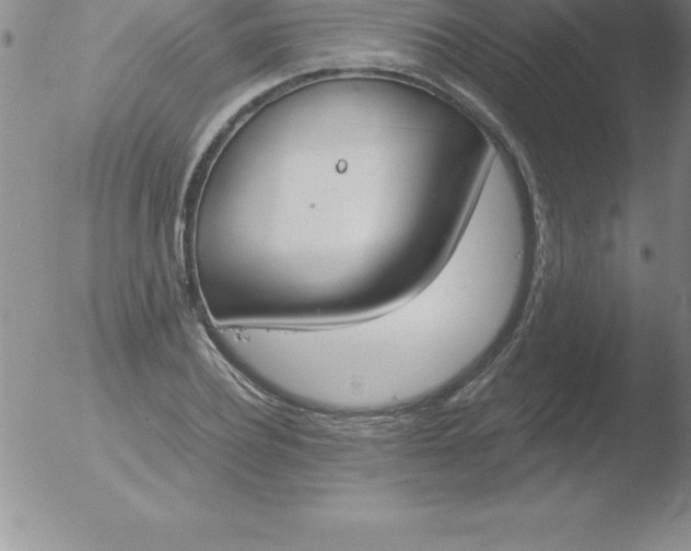 X0000051910932200507082026