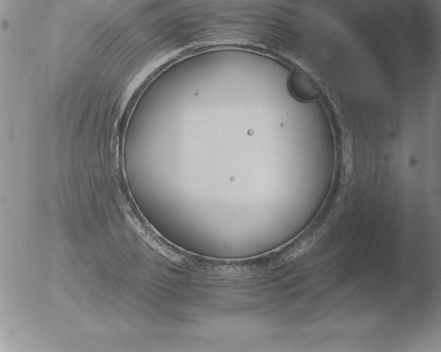 X0000051910933200507082026