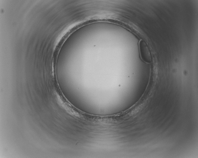 X0000051910934200507082026