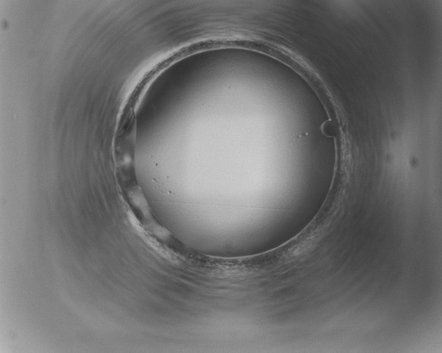 X0000051910935200507082026