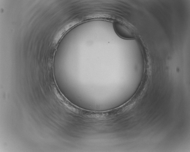 X0000051910937200507082026