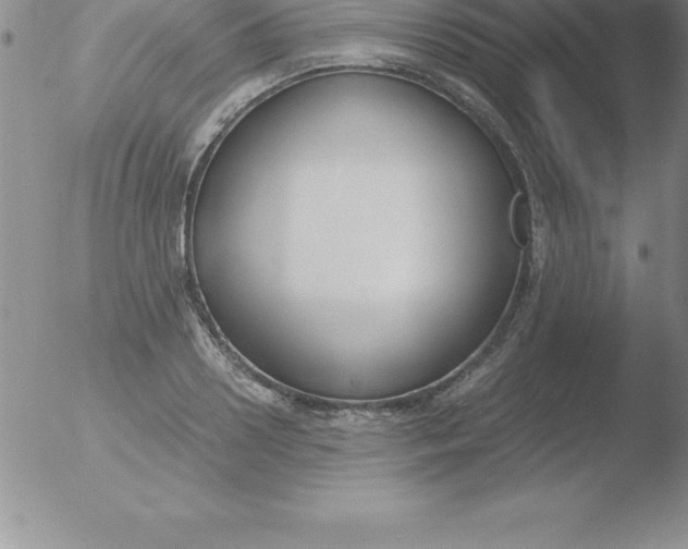 X0000051910938200507082026