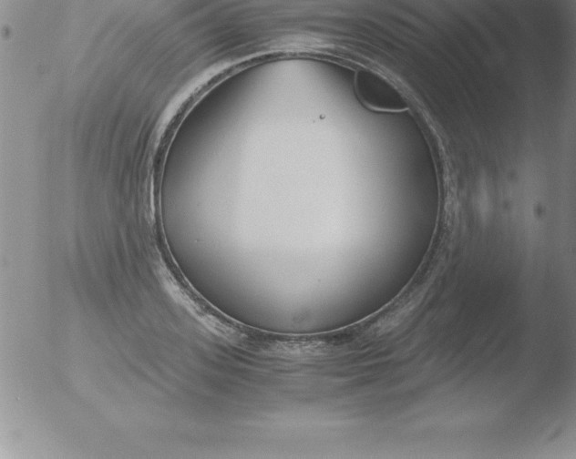 X0000051910939200507082026