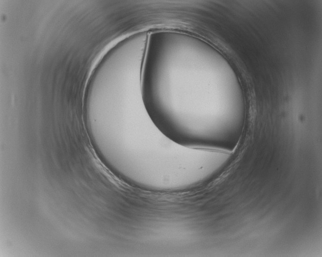 X0000051910940200507082026