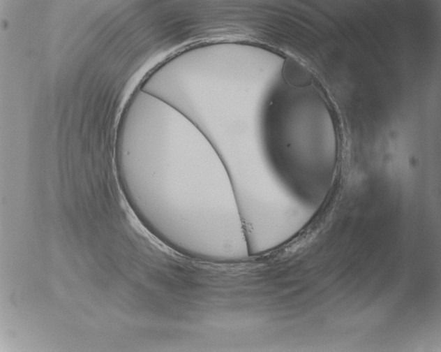 X0000051910941200507082026