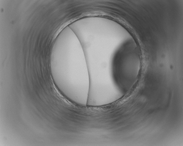 X0000051910945200507082026