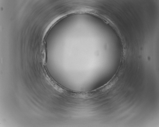 X0000051910948200507082026