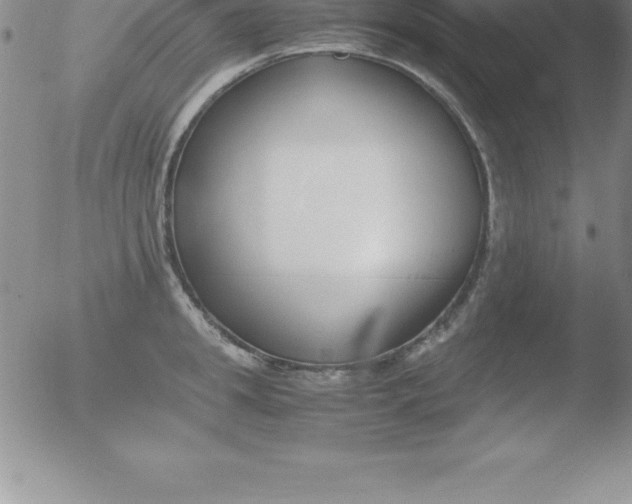 X0000051910949200507082026