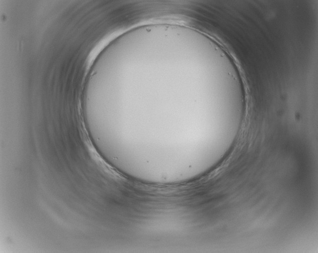 X0000051910952200507082026