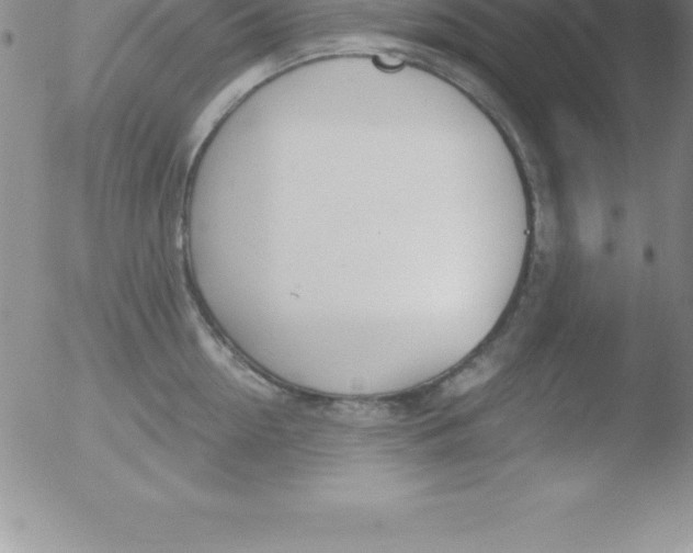 X0000051910954200507082026