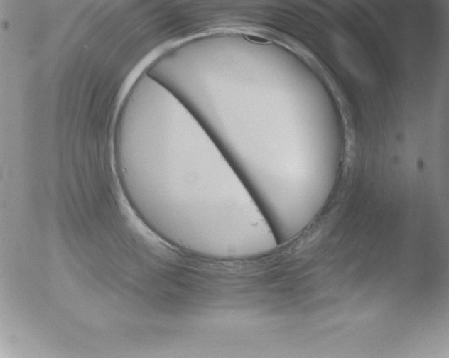 X0000051910955200507082026