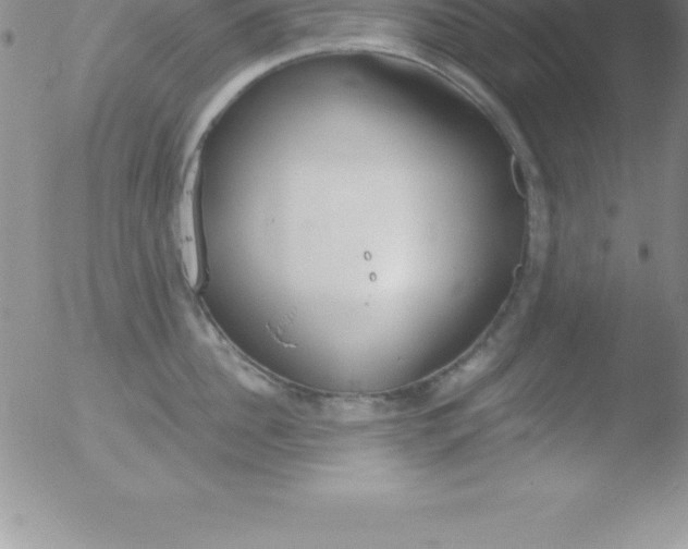 X0000051910956200507082026