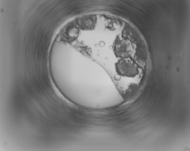 X0000051910957200507082026