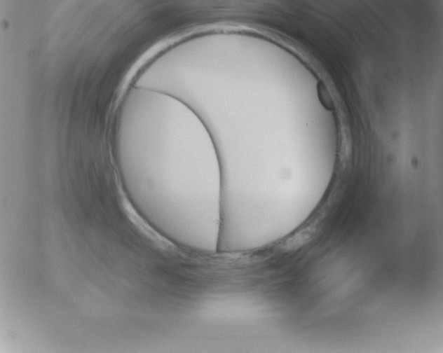 X0000051910958200507082026