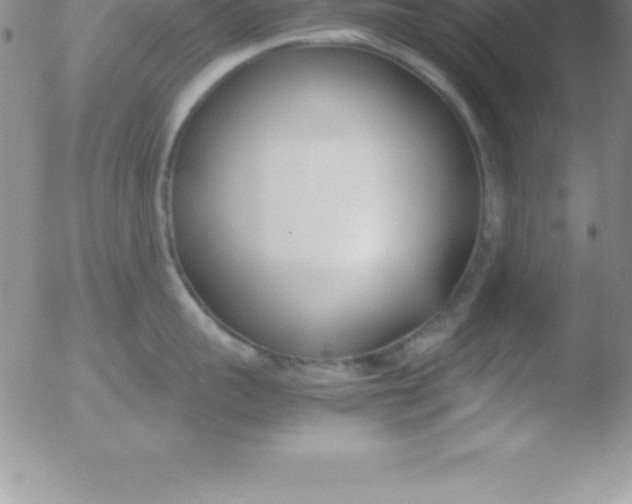 X0000051910959200507082026