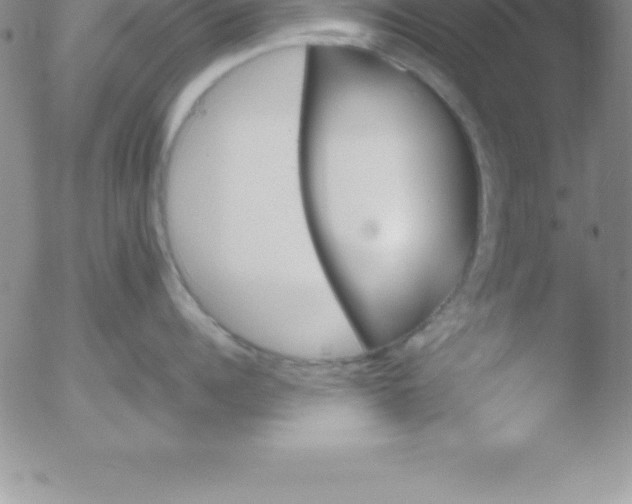 X0000051910960200507082026