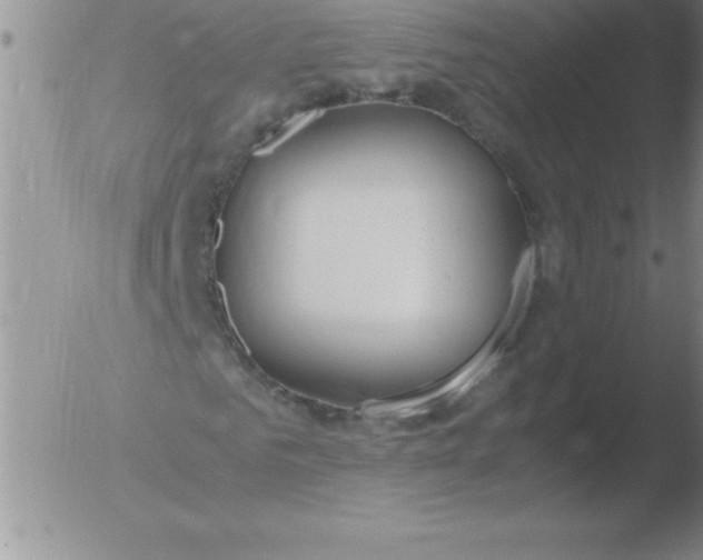 X0000051910961200507082025