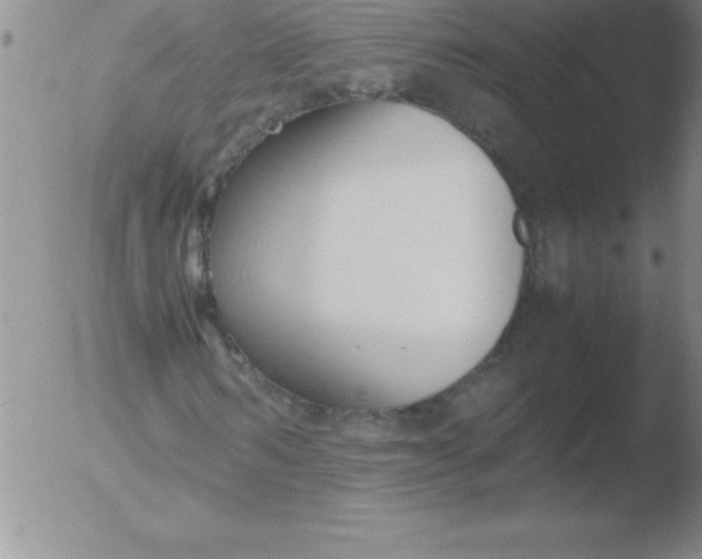 X0000051910962200507082025