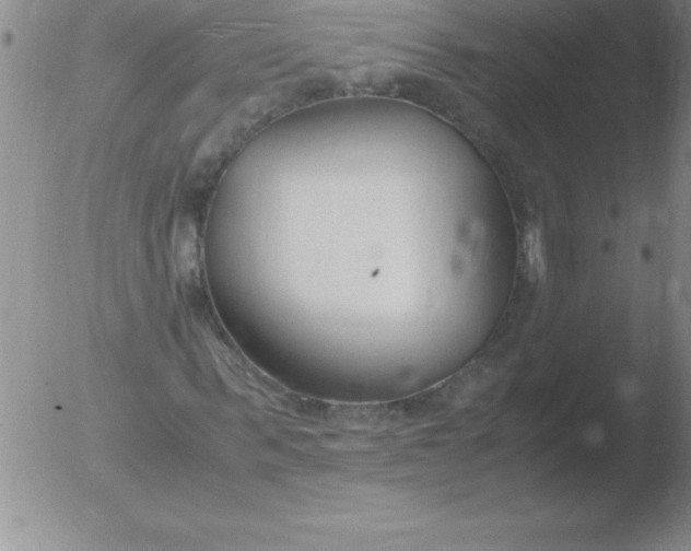 X0000051910963200507082025