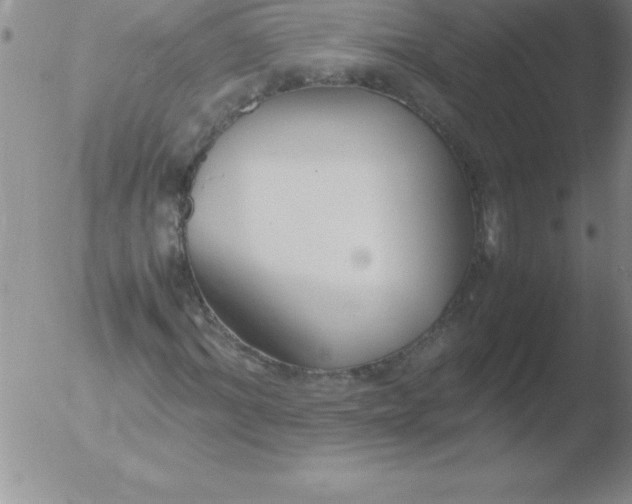 X0000051910964200507082025