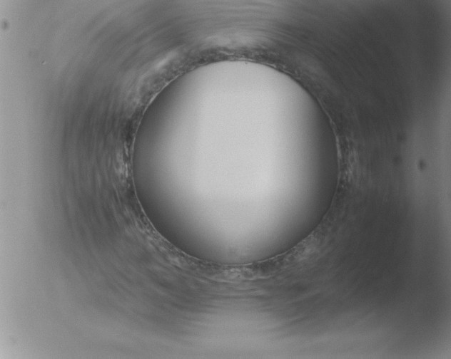 X0000051910966200507082025