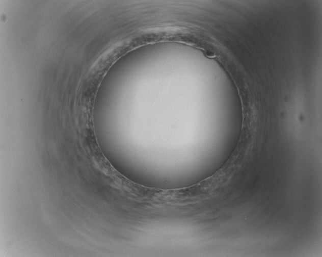 X0000051910967200507082025