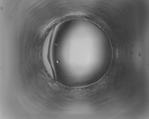 X0000051910968200507082025