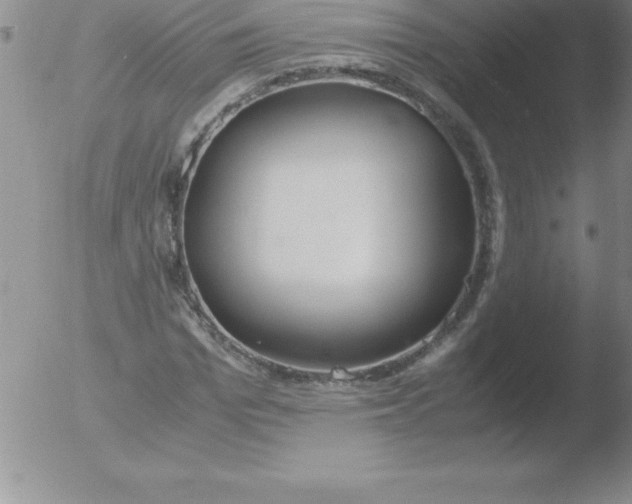 X0000051910969200507082025