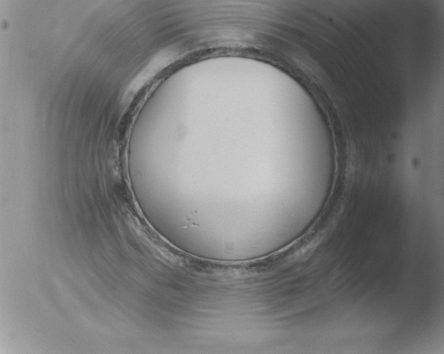 X0000051910970200507082025