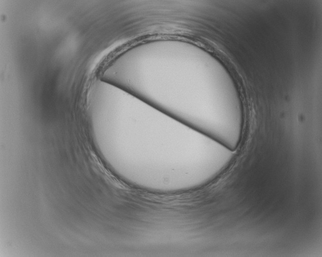 X0000051910971200507082025