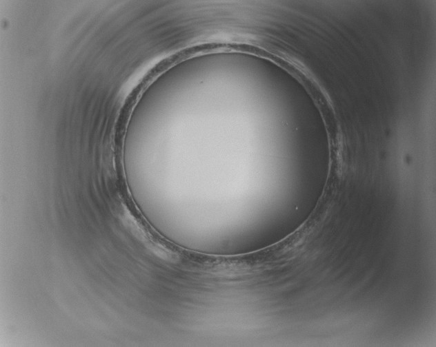 X0000051910972200507082025