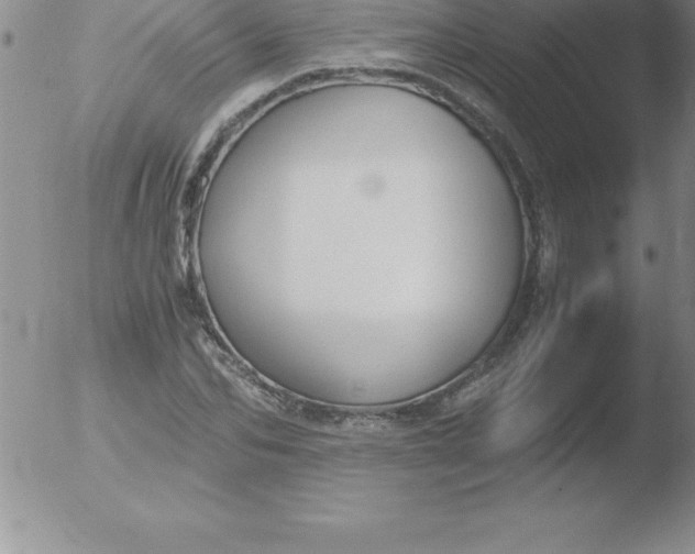 X0000051910974200507082025