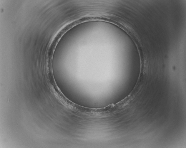 X0000051910976200507082025