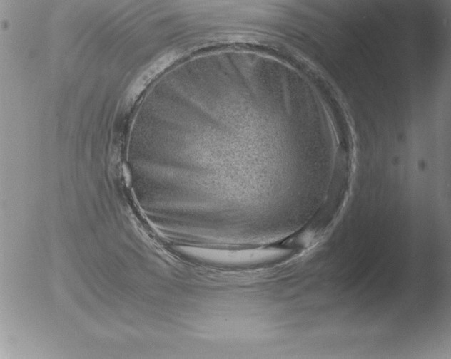 X0000051910977200507082025