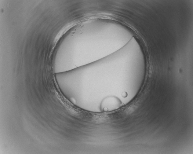 X0000051910978200507082025