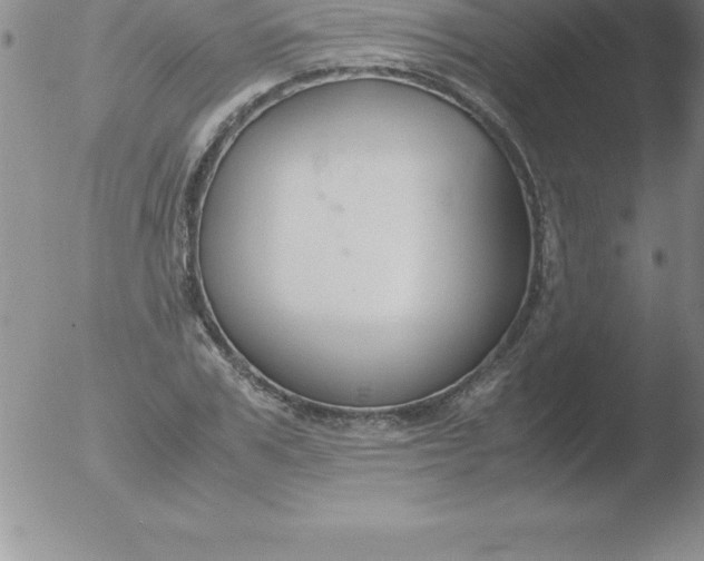 X0000051910979200507082025