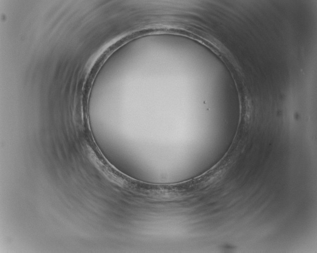 X0000051910980200507082025