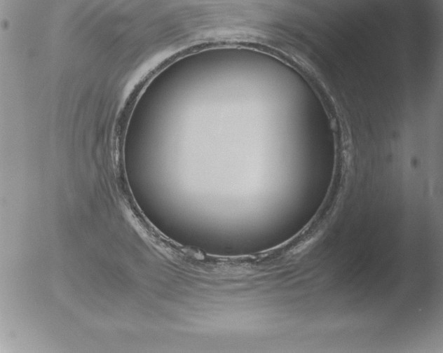 X0000051910981200507082025