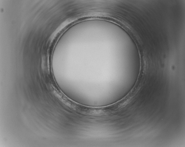 X0000051910982200507082025