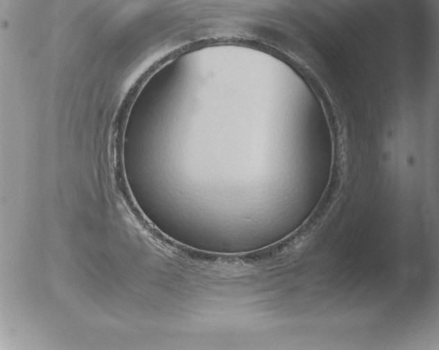 X0000051910983200507082025