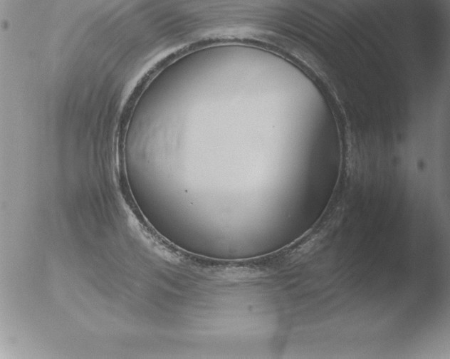 X0000051910984200507082025