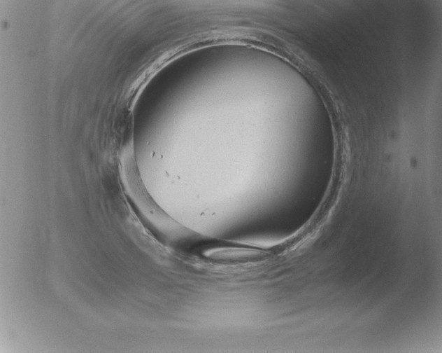 X0000051910985200507082025