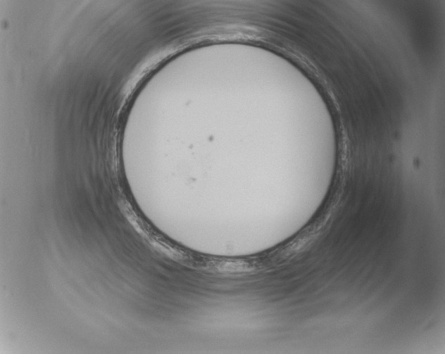 X0000051910986200507082025