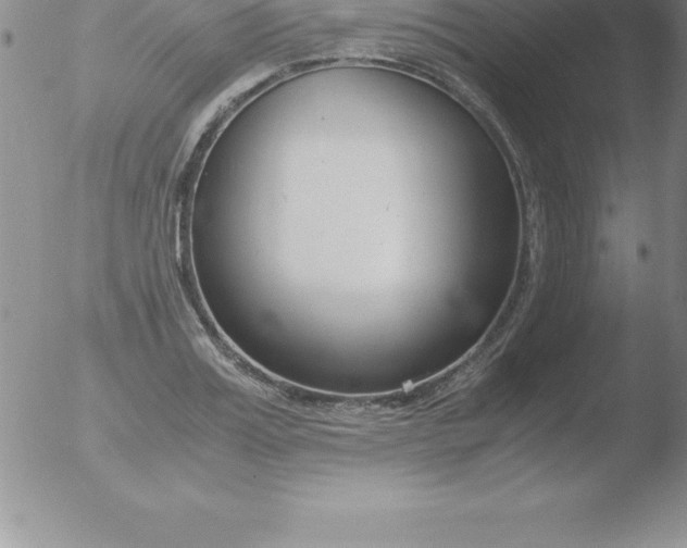 X0000051910987200507082025