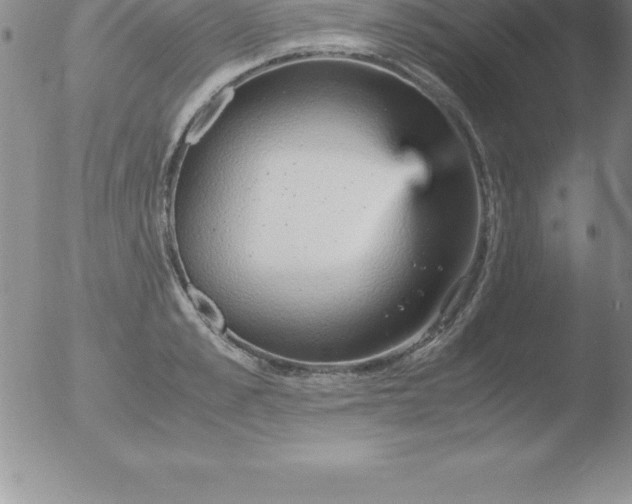 X0000051910989200507082025