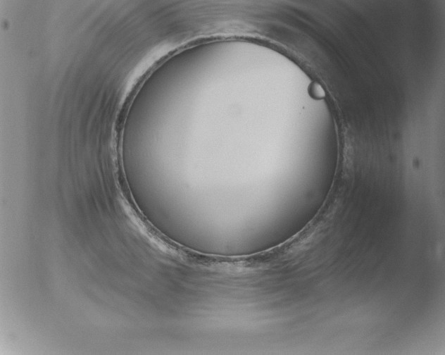 X0000051910990200507082025