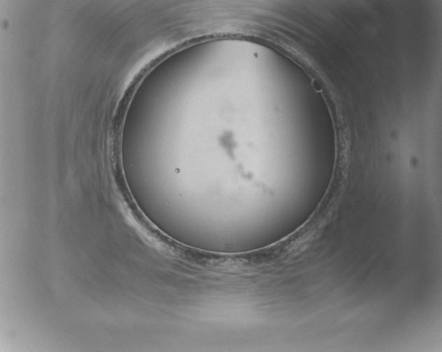 X0000051910991200507082025