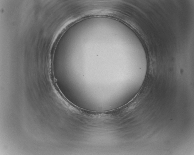 X0000051910992200507082025