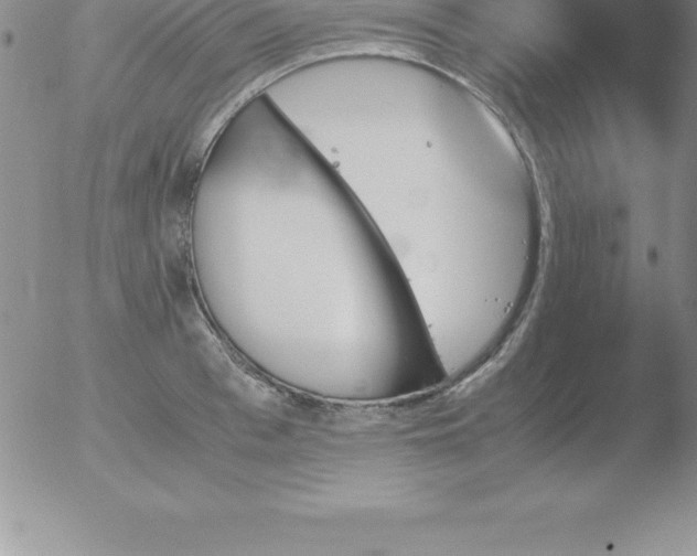 X0000051910993200507082025