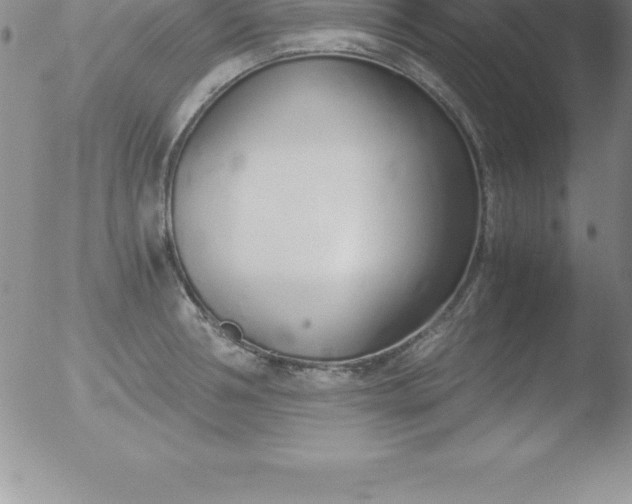 X0000051910994200507082025